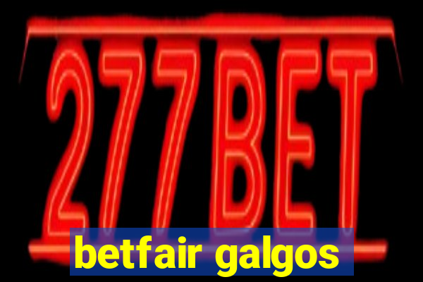 betfair galgos